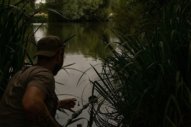 pontyok csalogatása